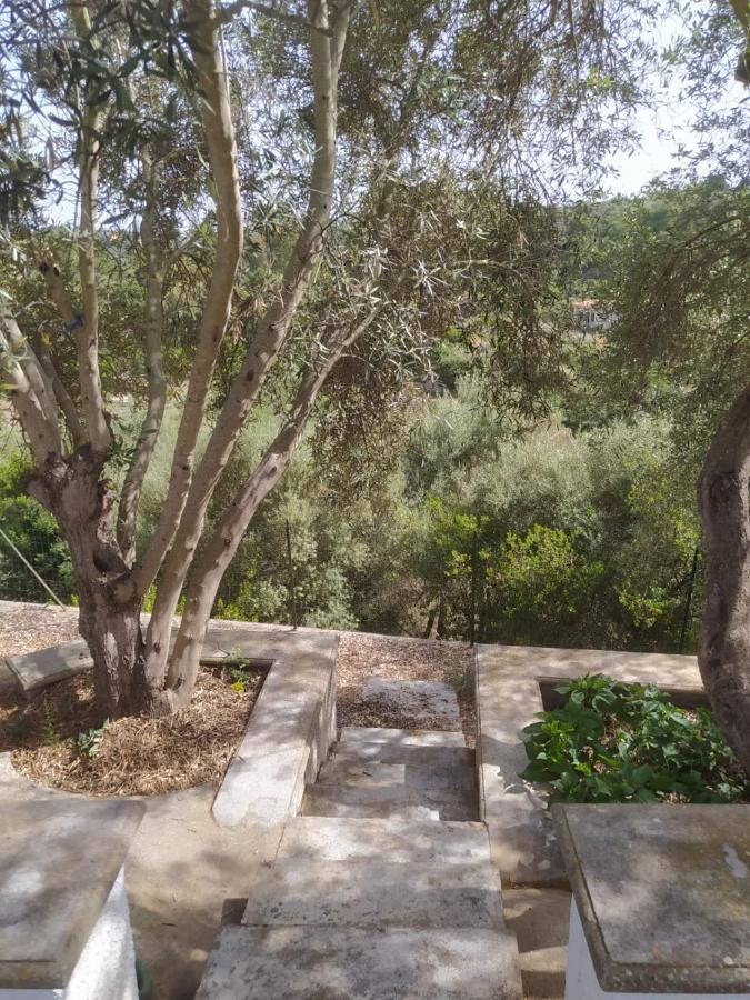 Casa Olea Villa Sorso Dış mekan fotoğraf
