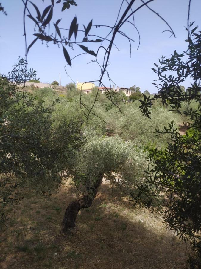 Casa Olea Villa Sorso Dış mekan fotoğraf