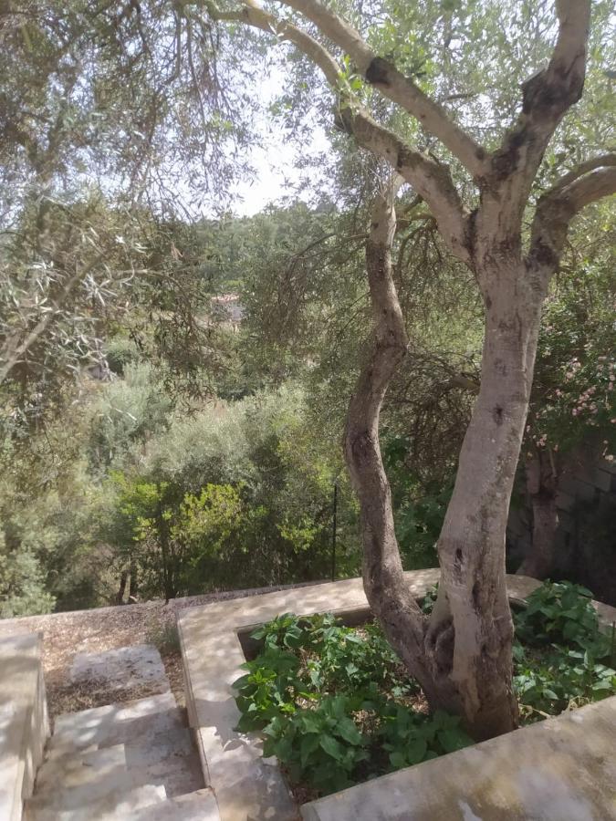 Casa Olea Villa Sorso Dış mekan fotoğraf