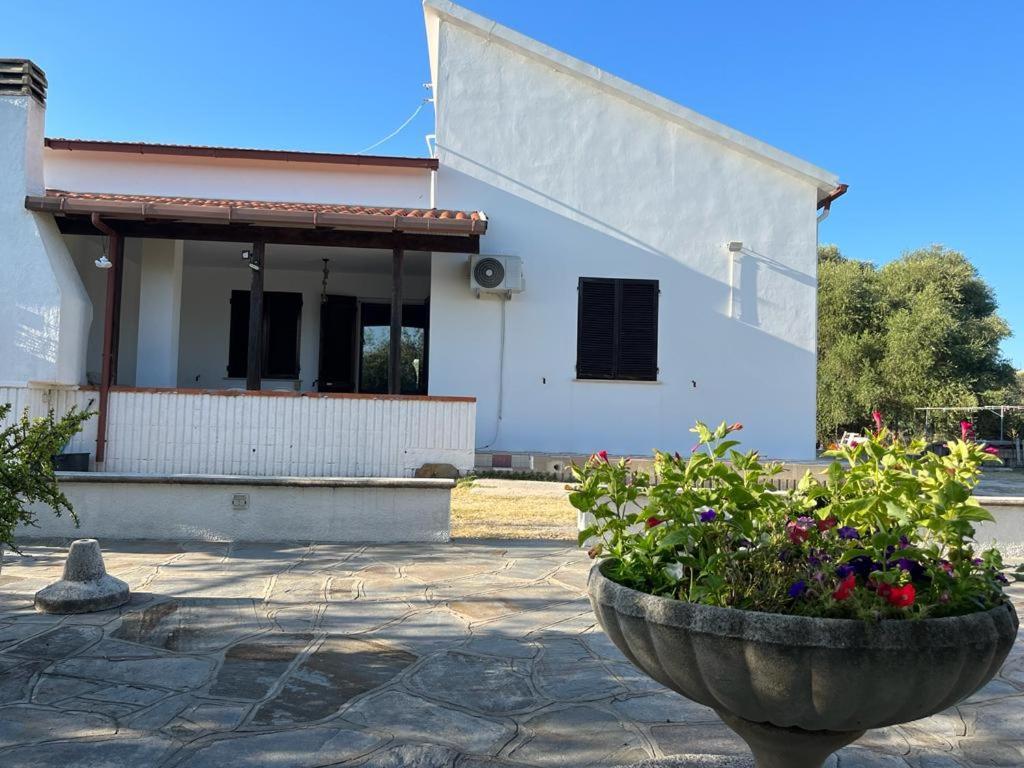 Casa Olea Villa Sorso Dış mekan fotoğraf