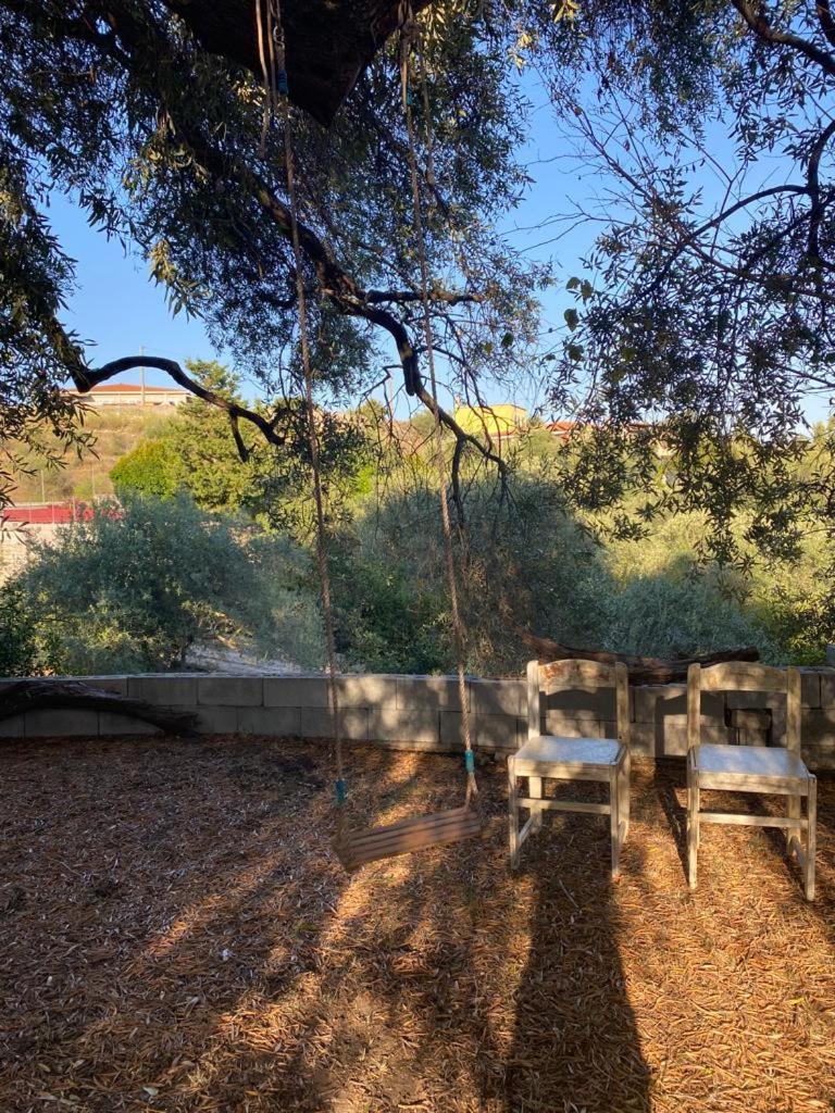 Casa Olea Villa Sorso Dış mekan fotoğraf